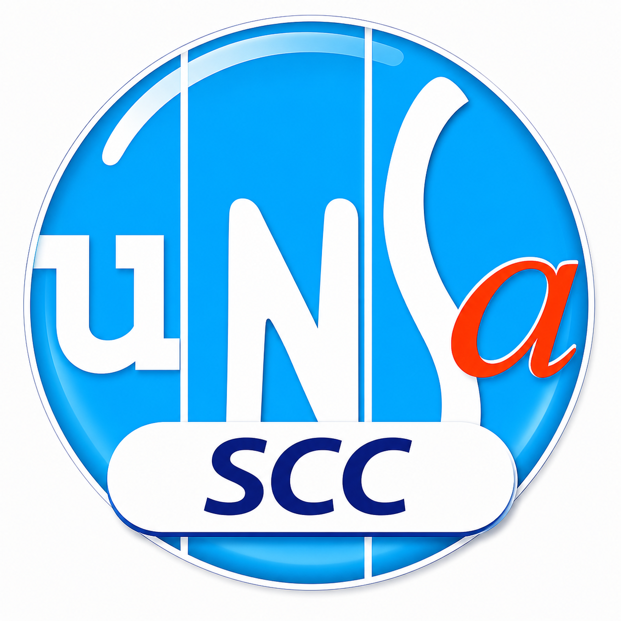 Logo UNSA blanc